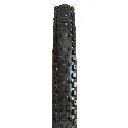 ASSEGAI.webp