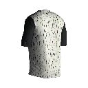 Imagen 2.webp